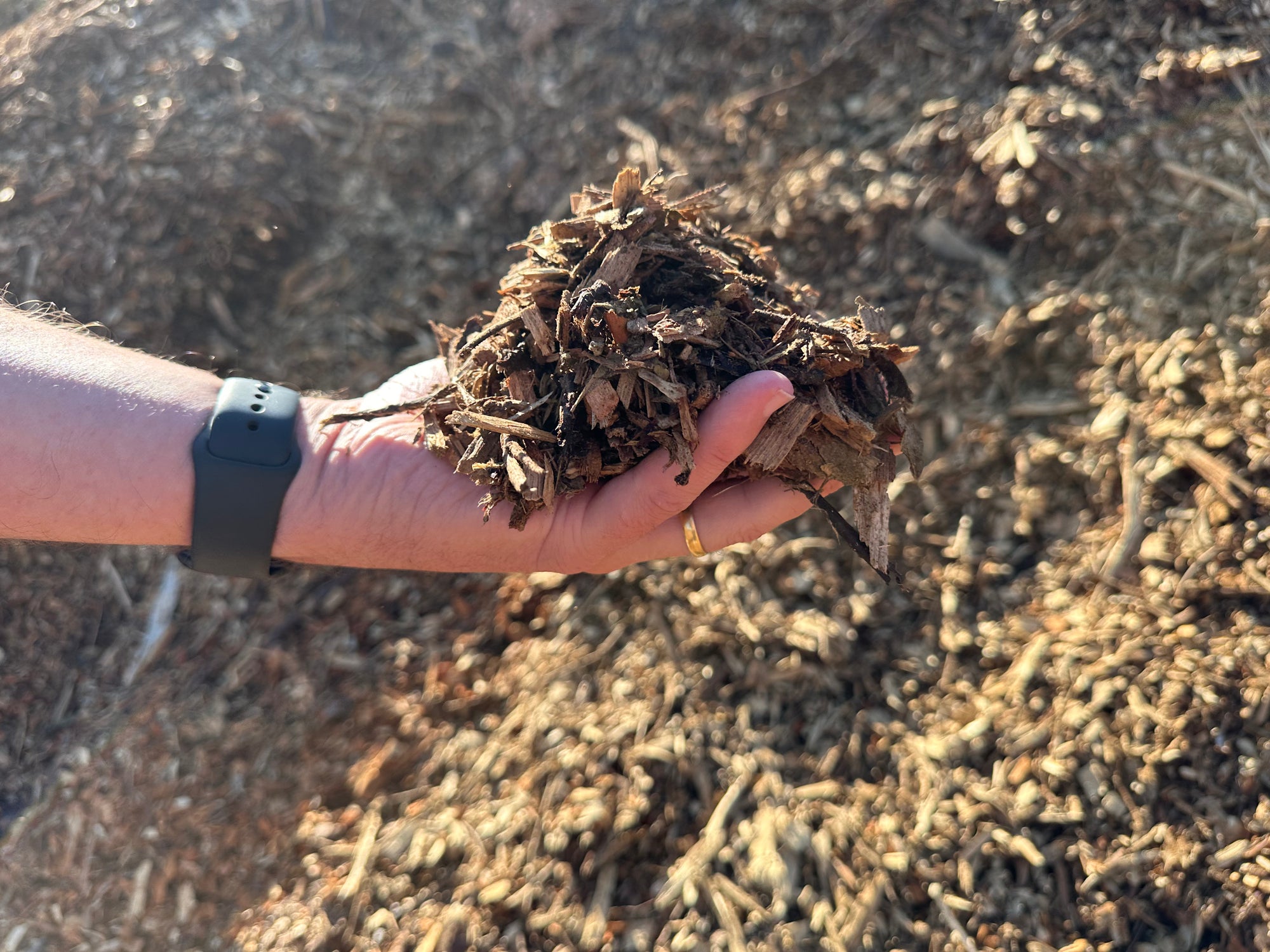 Bush Mulch