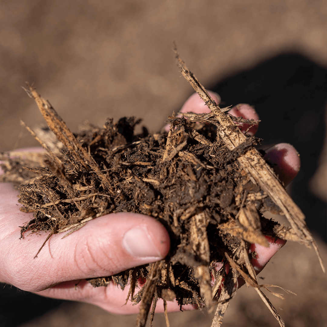 Fine Pine Mulch