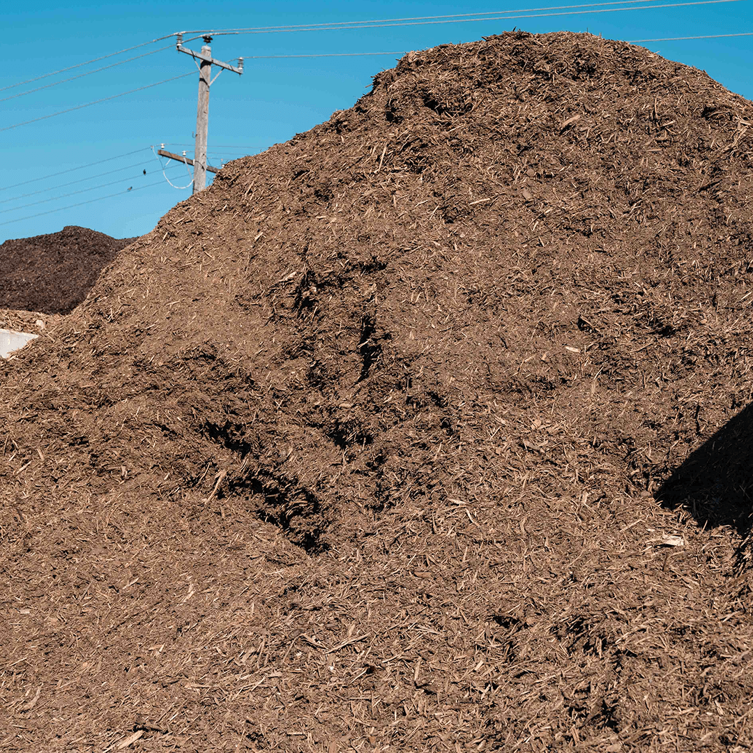 Fine Pine Mulch
