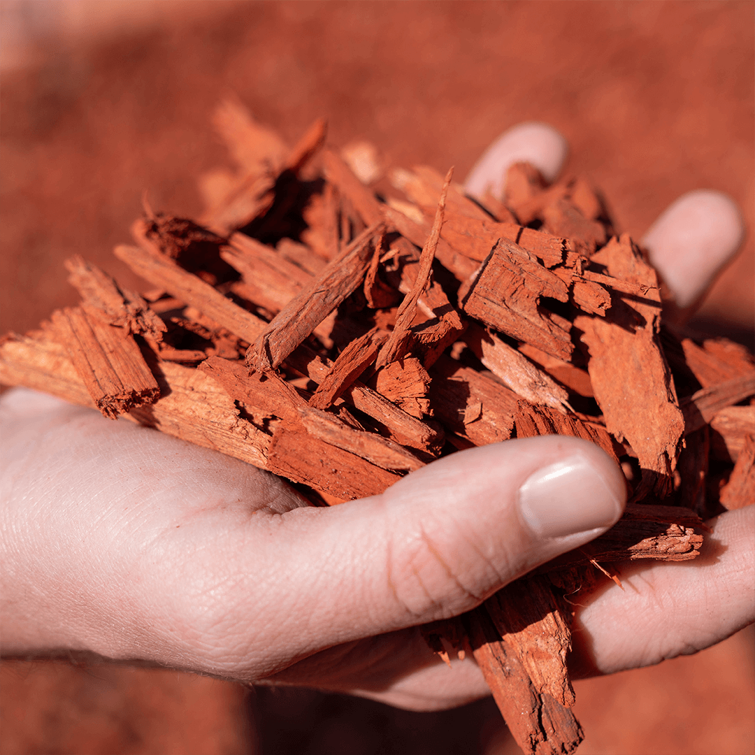 Red Dyed Mulch