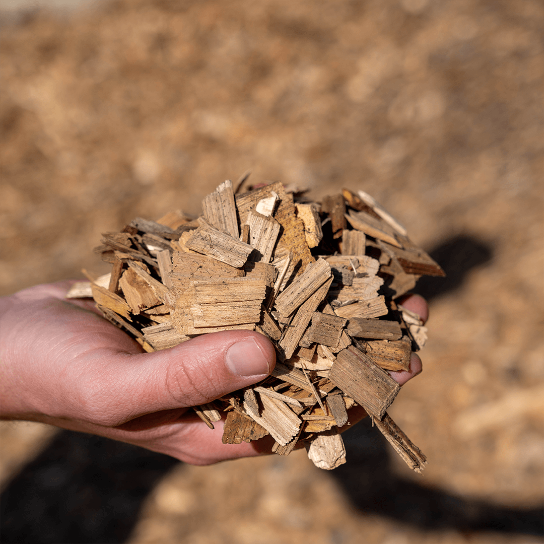 White Pine Chip